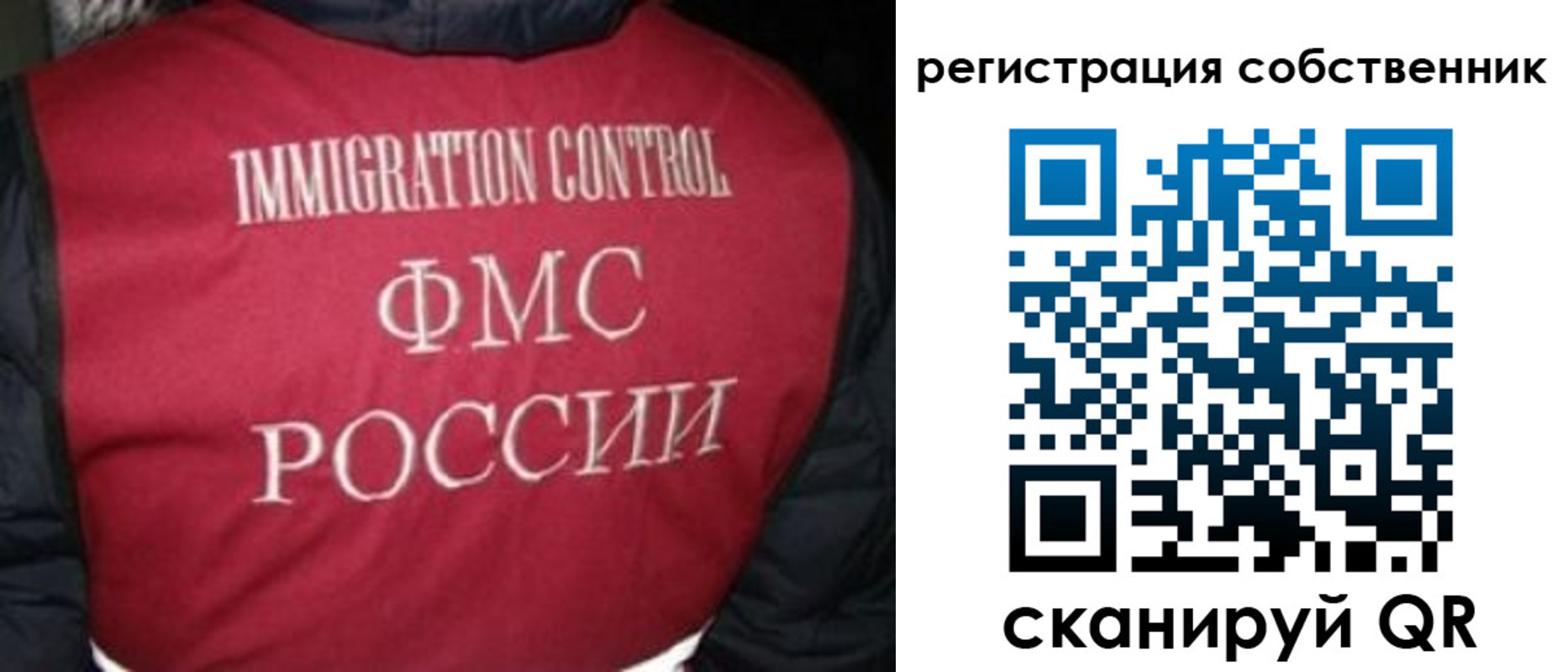 прописка гарантия в Вольске